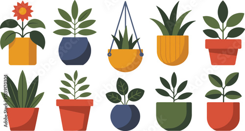 Collection of ten potted plants in various colorful pots and styles flower green