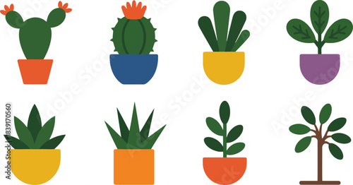 Eight potted plants including cacti and leafy green varieties in colorful pots cactus succulent