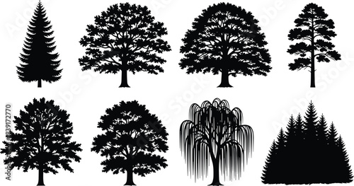 Silhouettes of diverse tree species, botanical shapes, forest elements, nature design, black foliage icons, landscape illustration, educational plant reference