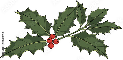 evergreen radiance a timeless symbol of festive cheer and winter warmth, isolated on transparent background