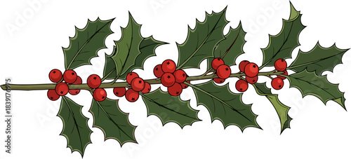 evergreen promise natures resilient gift for holiday warmth and tradition, isolated on transparent background
