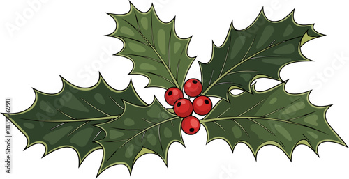 evergreen whisper a timeless emblem of seasonal joy and enduring spirit, isolated on transparent background