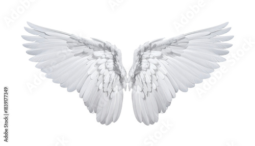 Majestic feathered wings spanning gracefully against a transparent backdrop bring a sense of ethereal beauty and inspiration to life