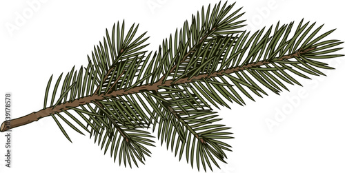 whispers of winter a vibrant evergreen branch unveiling festive natural beauty, isolated on transparent background