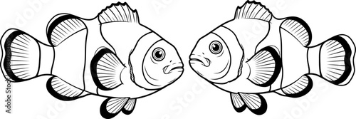 aquatic echoes two clownfish engage in a timeless dance of mirrored intent, isolated on transparent background