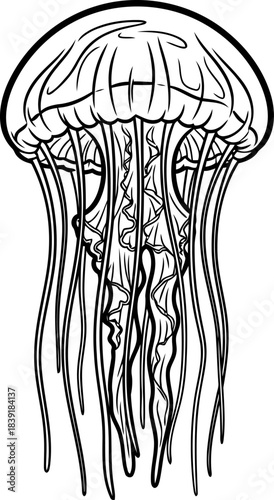 gelatinous reverie a stylized journey into the oceans rhythmic heart, isolated on transparent background