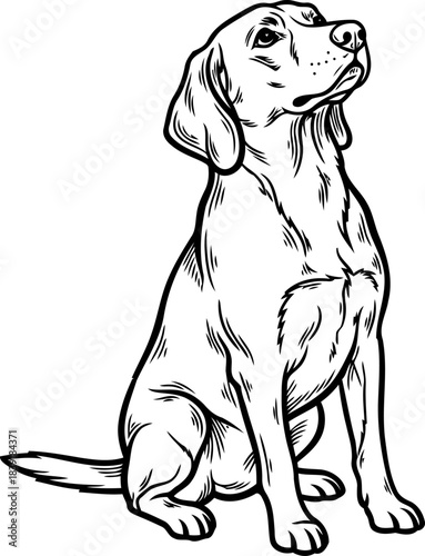 iconic canine vigil awaiting the call with unwavering loyalty and focus, isolated on transparent background