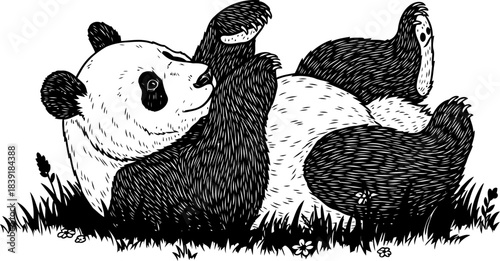ink fur a playful pandas rustic charm in monochrome wilderness, isolated on transparent background