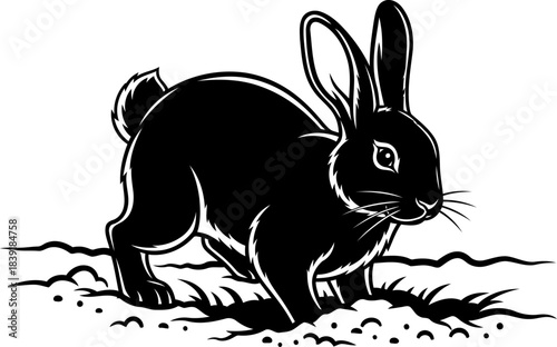 natures whisper a timeless silhouette of wild grace and gentle agility, isolated on transparent background