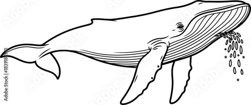 oceans gentle filter sustaining life in the deep blue expanse, isolated on transparent background