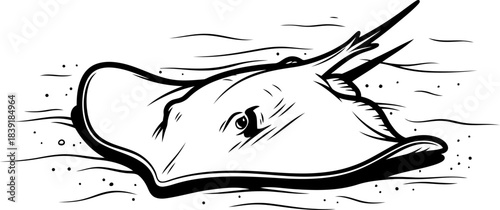 oceans silent sentinel wisdom from the depths, a subtle marine presence, isolated on transparent background