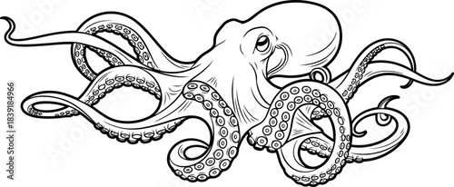 oceans mind a stylized embrace of depth, wisdom, and tentacled grace, isolated on transparent background