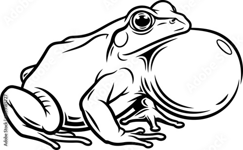 the amphibians anthem resounding natures primeval echo through the wilderness, isolated on transparent background