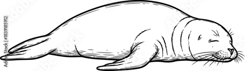 tidal embrace a serene coastal nap, echoing natures uninterrupted calm, isolated on transparent background