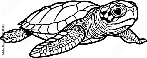 timeless tide weaver an emblematic voyage captured in graceful strokes, isolated on transparent background