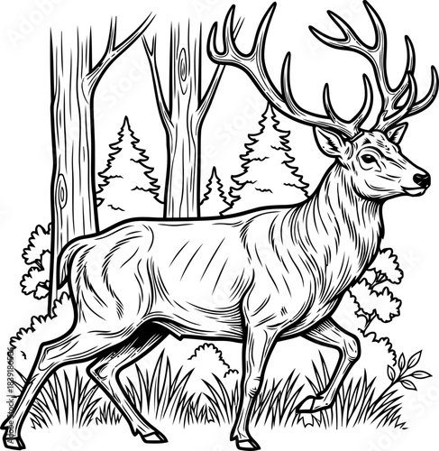 woodland monarchs stride an engraved journey into untamed nature, isolated on transparent background