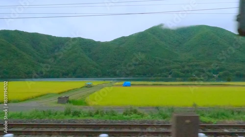 車の窓から見える綺麗な景色
