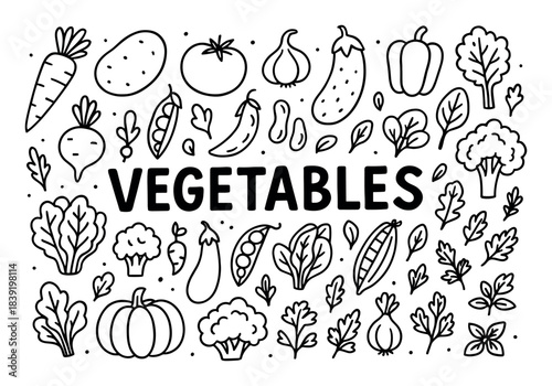Vegetable Doodle Art
