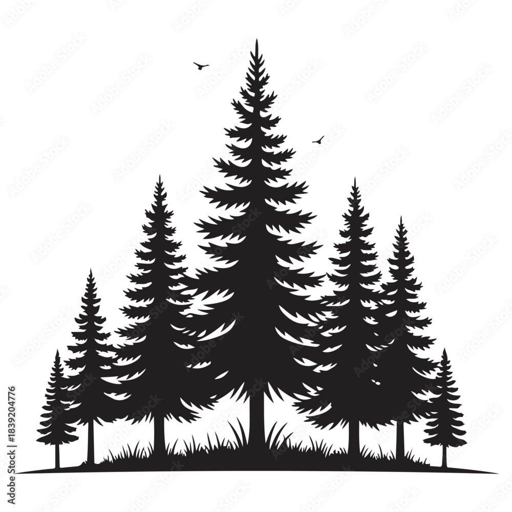 Fototapeta premium Black silhouette of pine trees on white background with birds flying overhead tree silhouettes black and white