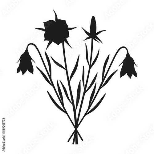 Bell bouquet silhouette. Bunch of four blooming wildflowers, perennial wild plants, minimal style. Botanical hand-drawn elements for design projects. Vector illustration