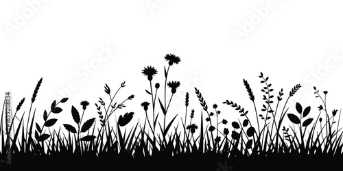 Black silhouette border of wild grass and meadow wildflowers on white background