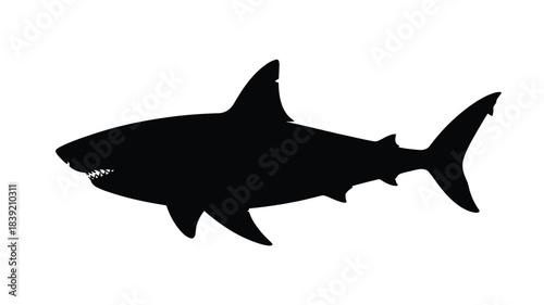Black shark silhouette isolated on white background depicting a powerful marine predator