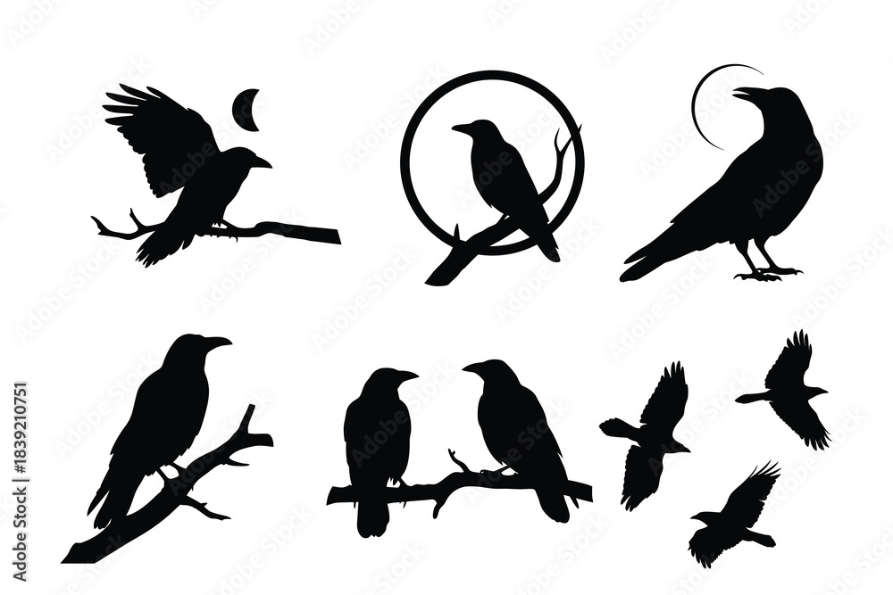 Fototapeta premium Set of Raven and Crow Silhouettes with Moon and Branch Elements