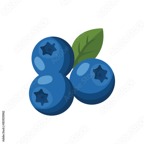 fresh blueberries isolated on white