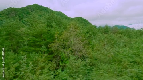 車の窓から見える綺麗な景色