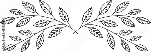 Symmetrical black and white line art of two opposing branches with leaves creating a delicate divider for elegant invitations or décor.