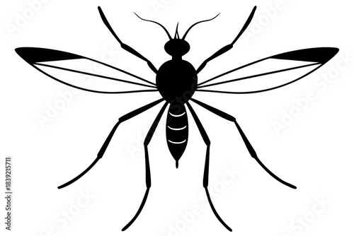 Mosquito silhouette vector,  Bloodsucking icon black symbol
