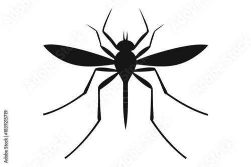 Mosquito silhouette vector,  Bloodsucking icon black symbol
