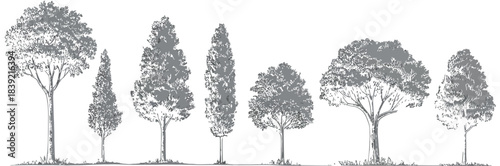 Minimal CAD Tree Vector Set Side View Line Drawings for Landscape Design
