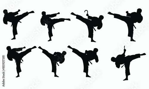 Professional Martial Arts Silhouettes Taekwondo Motion Set