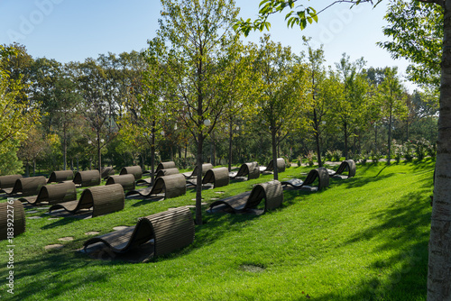 Landscape of series of curved wooden lounge chairs arranged in wave-like rows on green lawn, surrounded by young trees in public landscape city park Krasnodar or 'Galitsky park' in autumn 2025