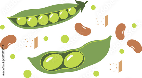 Flat Vector Icon Set for Academic Subjects, Featuring Maths (Calculator, Formulas), Geometry (Globe, Ruler), Physics (Magnet, Gears), and Chemistry (Flasks, Flame) for STEM Education.