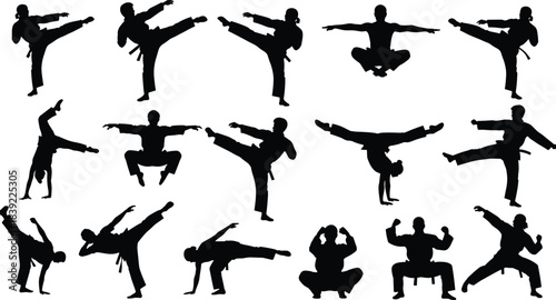 Set of martial arts silhouettes, dynamic figures performing high kicks, fighting stances, and athletic poses, vector illustration