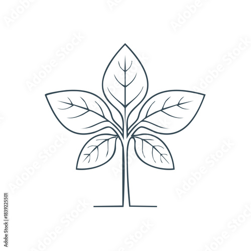 Elegant leaf outline design with striking venation showcasing nature's beauty with a minimalist botanical flair and contemporary leaf silhouette.
