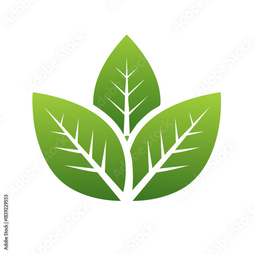 Three Bright Green Leaves Emerging Symbolizes Nature, Growth, Freshness, and Sustainable Living