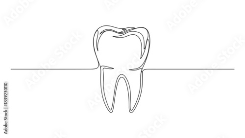 A minimalist, single-line drawing of a human molar tooth, centered on a white background with a horizontal line passing through its root.