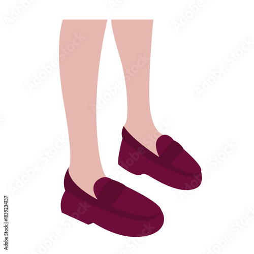 Female legs wear loafers vector flat illustration