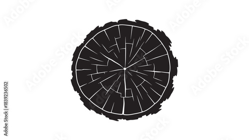 A black and white pie chart divided into multiple sections with white lines on a pure white background, creating a simple and clean visual representation
