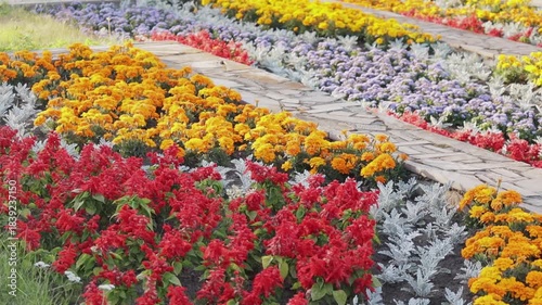 Rows of vibrant red salvia, golden marigolds, and silvery foliage line a mosaic-tiled pathway in a sunlit urban park, creating a colorful botanical showcase.