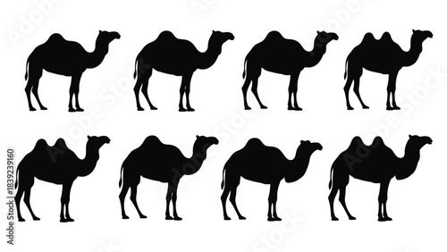 Silhouette collection of camels in various poses a desert wildlife depiction