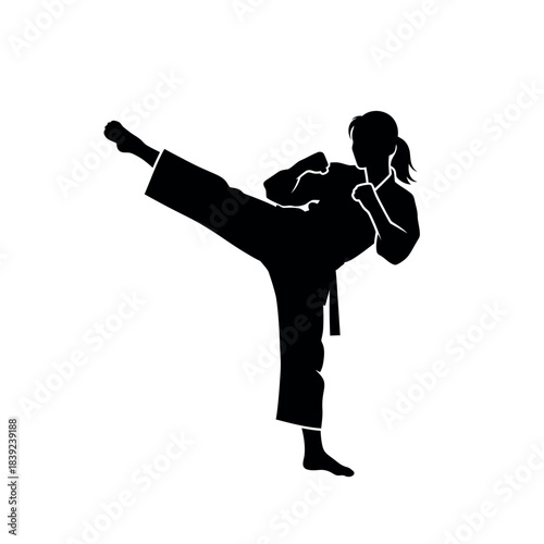 Silhouette of a woman performing a martial arts kick.