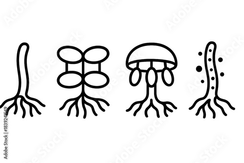 Fungal Network Icons. Mycelial Infrastructure Systems linear set: hypha strand conduit, nutrient mesh hub, spore exchange node.