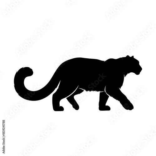 Black panther walking silhouette isolated on white background