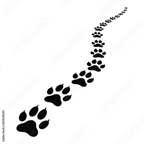 Paw print trail leading into the distance on a white background