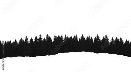 inky black silhouette of dense mature pine trees, panoramic forest line with sharp edges, white ethereal mist and vast copy space on high-key background. Conceptual minimalism design