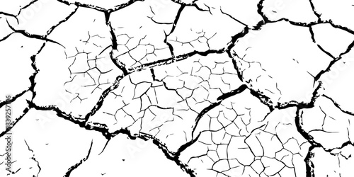 High-resolution cracked dry soil texture with intricate fracture patterns, natural organic lines, monochrome design ideal for backgrounds, geology themes, environmental concepts and compositions.